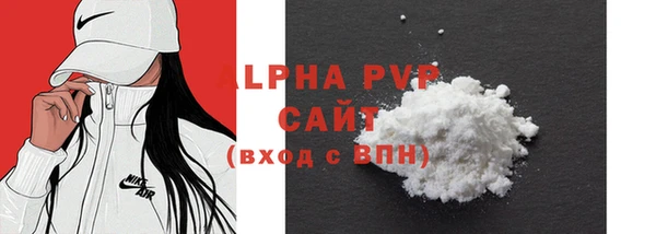 прущие грибы Каменногорск