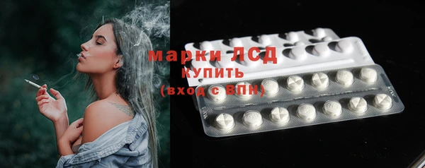 эйфоретик Инта