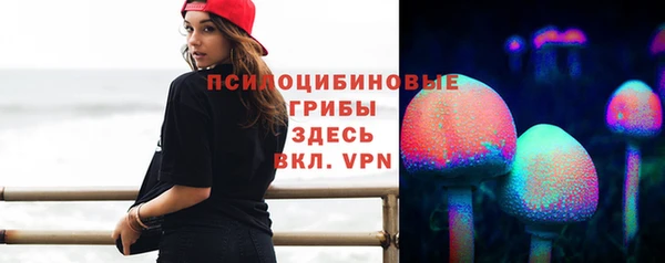 прущие грибы Каменногорск