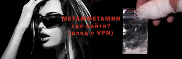 прущие грибы Каменногорск