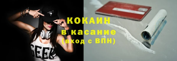 прущие грибы Каменногорск