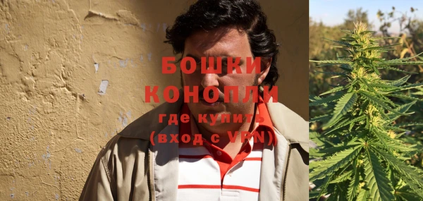 стаф Каменск-Шахтинский