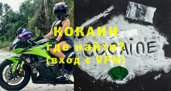 прущие грибы Каменногорск