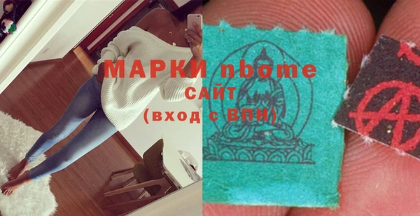 прущие грибы Каменногорск