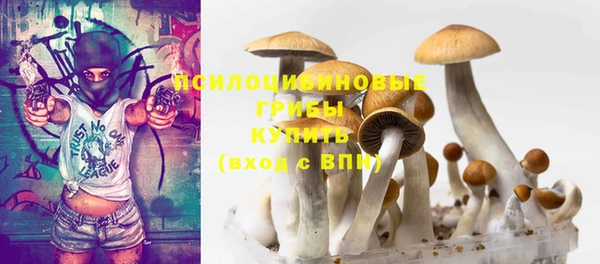 Альфа ПВП Тайга