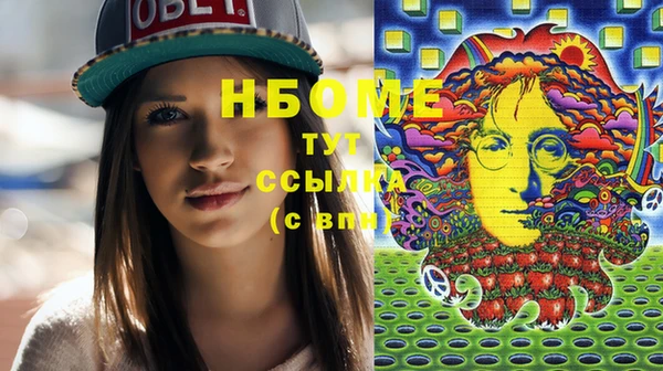 прущие грибы Каменногорск