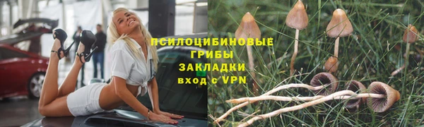 стаф Каменск-Шахтинский