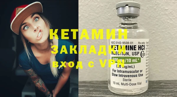 прущие грибы Каменногорск