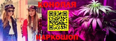 a pvp Бийск