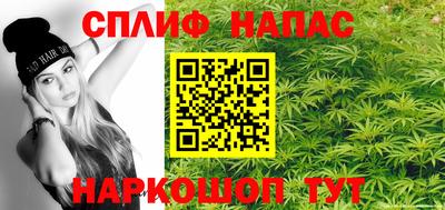 a pvp Бийск