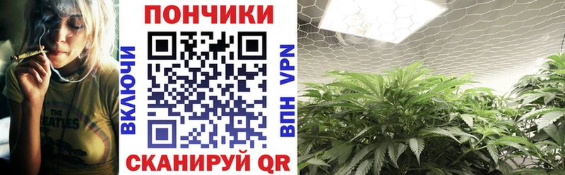 МАРИХУАНА гибрид  Зеленодольск 